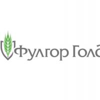 Фунгицид Фулгор Голд от Агроэксперт-Трейд