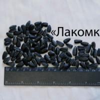 Семена Подсолнечника ЛАКОМКА от Агроэксперт-Трейд