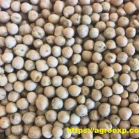 Семена других бобовых Семена нута от Агроэксперт-Трейд