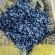 Семена Подсолнечника Таурус НС от Агроэксперт-Трейд