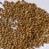 Семена пшеницы Тамадур от Агроэксперт-Трейд