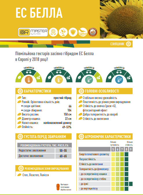 семена подсолнуха белла семена подсолнуха белла