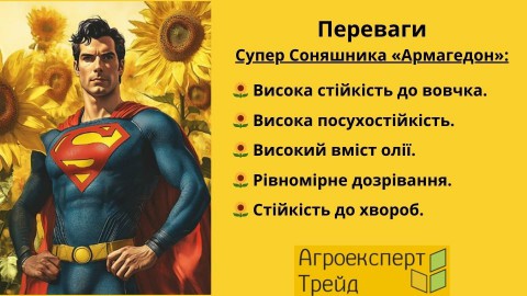 соняшник-армагедон-переваги