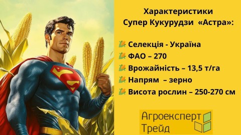 кукуруза-дн-астра-характеристики