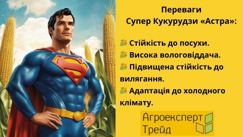 кукуруза-дн-астра-преимущества