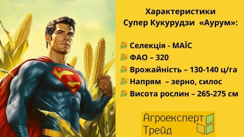 кукурудза-аурум-характерисики