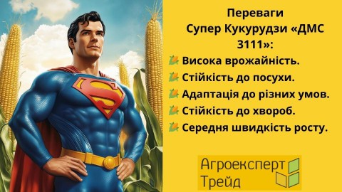 кукуруза-дмс-3111-преимущества