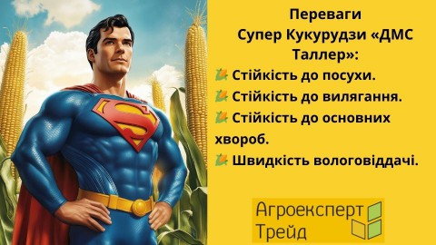 кукурудза-дмс-таллер-переваги
