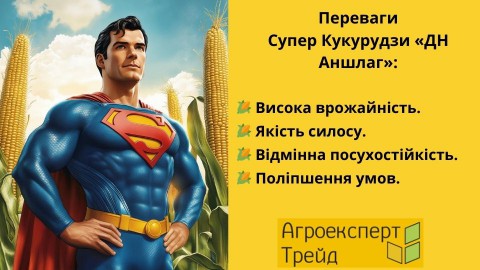 кукуруза-дн-аншлаг-преимущества