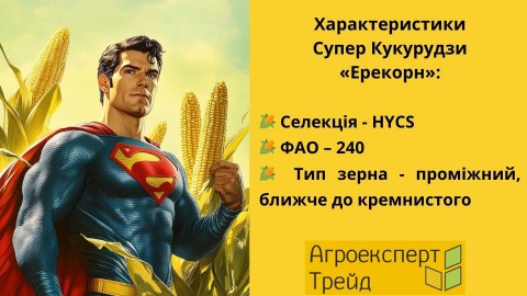 кукуруза-эрекорн-характеристики