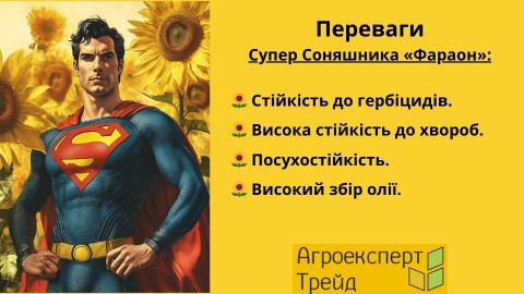 соняшник-фараон-переваги