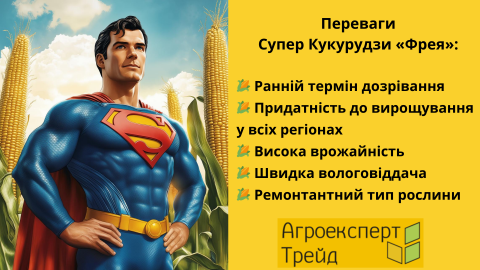 гибрид-кукурузы-фрея-преимущества