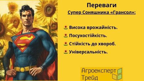 соняшник-грансол-переваги