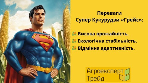 кукуруза-грейс-преимущества