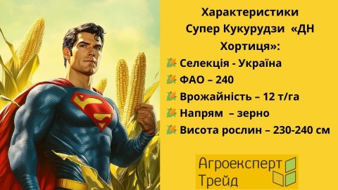 кукурудза-дн-хортиця-характерисики