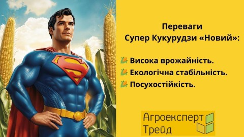 кукуруза-новый-преимущества