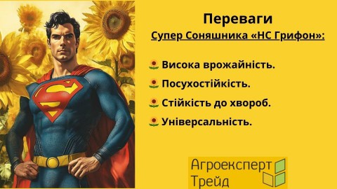 соняшник-нс-грифон-переваги