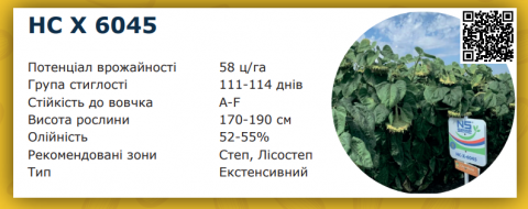 подсолнечник-нс-х-6045-описание