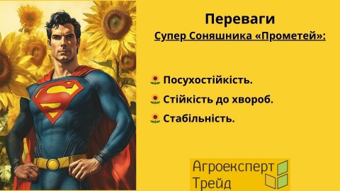 соняшник-прометей-переваги