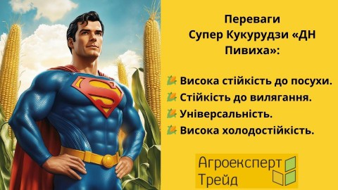 кукуруза-дн-пивиха-преимущества