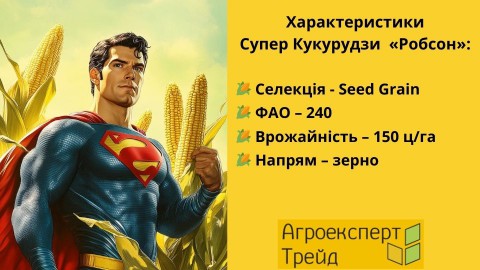 кукуруза-робсон-характеристики