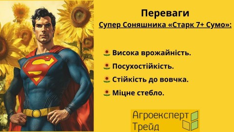 соняшник-старк-сумо-переваги