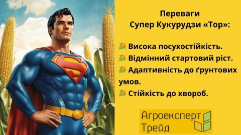 кукуруза-тор-преимущества