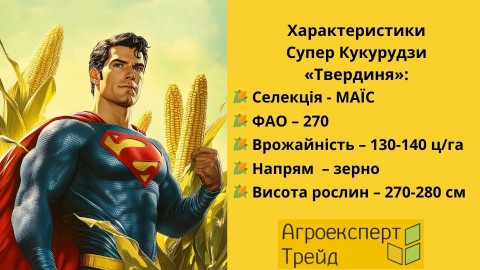 кукуруза-твердыня-характеристики