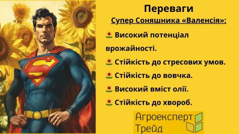 подсолнечник-Валенсия-преимущества